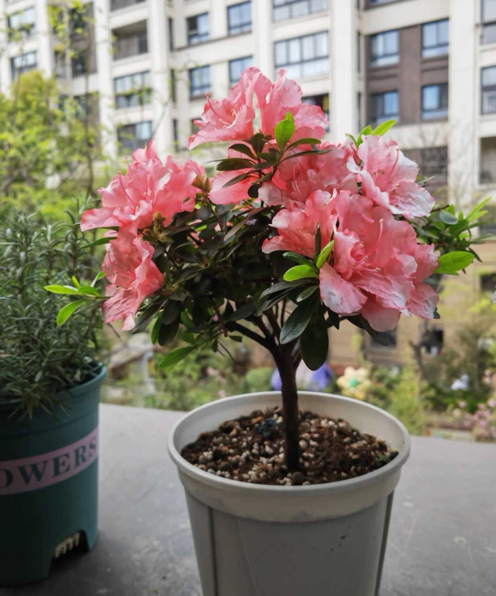 0fd380ee85bc6b405b450dd09ef90d6c