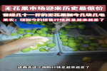 无花果市场迎来历史最低价！低至几毛钱一斤？