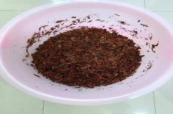 蝴蝶兰适合用椰糠种植吗？蝴蝶兰椰糠适合的ec值范围？
