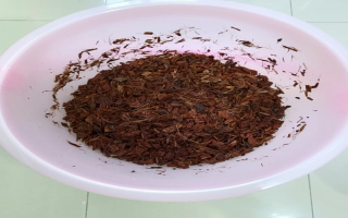蝴蝶兰适合用椰糠种植吗？蝴蝶兰椰糠适合的ec值范围？