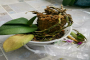 蝴蝶兰植料腐烂,变质,发黑怎么处理？蝴蝶兰换植料的要点是什么？