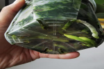 蝴蝶兰只能用白色透明塑料盆栽吗？蝴蝶兰套盆最简单方法吗？