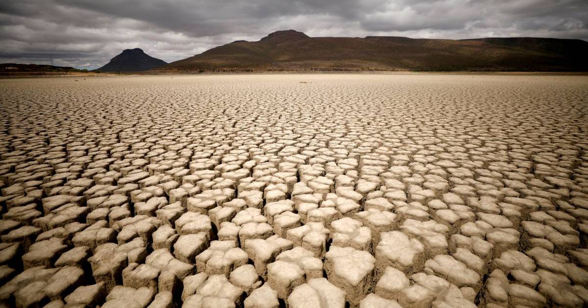 欧盟旱情报告:欧洲今年干旱情况或达500年最严重