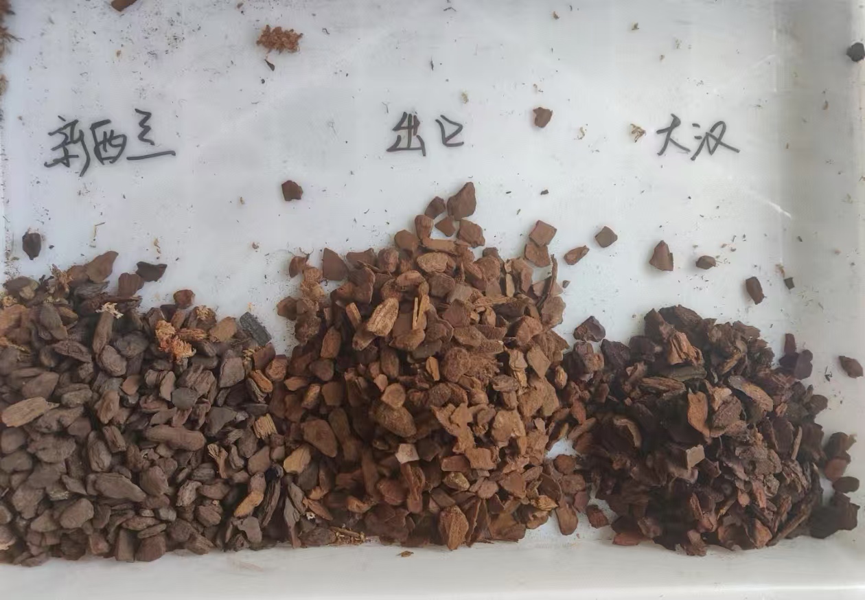 蝴蝶兰的价格是怎么定的呢？蝴蝶兰植料怎么买便宜点？