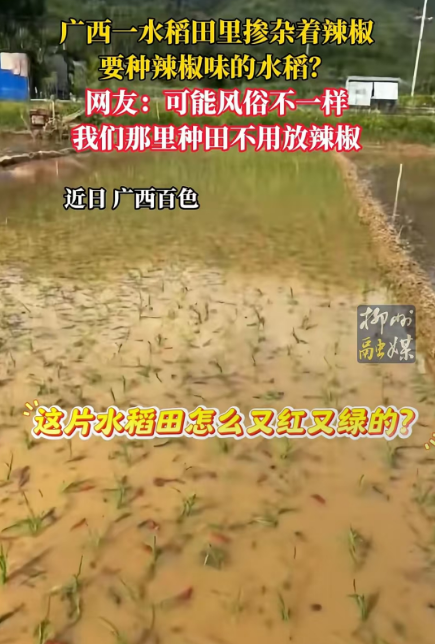 1753600869853