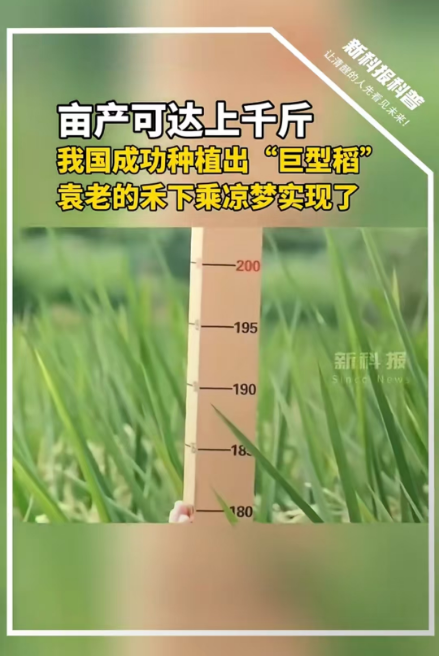 1753685189604