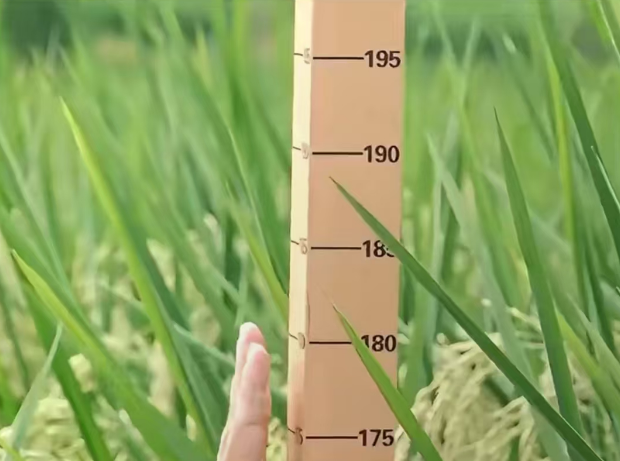 1753685210214